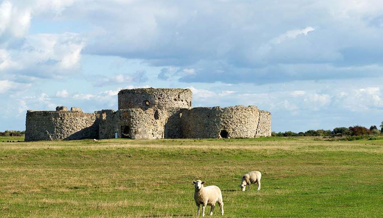 Camber Castle - Visit 1066 Country